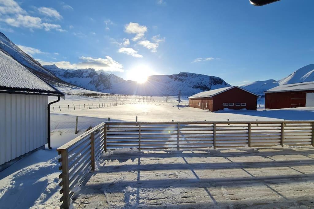 Arctic Lodge Tromvik With Jacuzzi Tromso Exterior photo